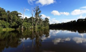 Norway and the UN pledge to protect the Amazon