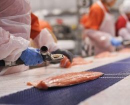 Russian import ban renewal a risk to trade relationships