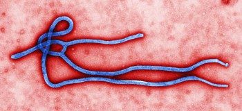Research Council of Norway finances trial of Ebola-vaccine