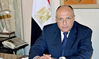 Egypt FM Shoukry discusses Palestine issue with Norway’s peace envoy