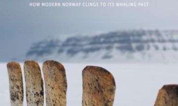 New Report Details Norway’s Efforts to Promote Whaling