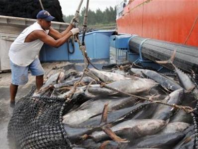 fishing_in_Seychelles