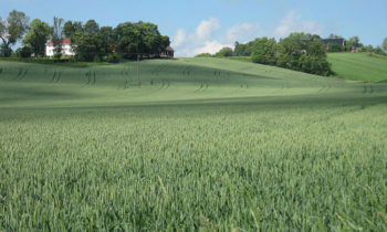 Agriculture and climate change