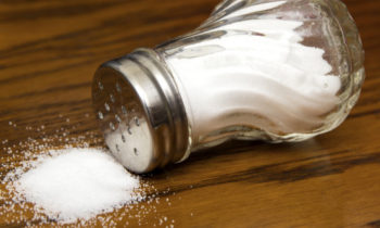 Salt Shaker