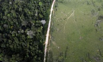An aerial view shows illegal deforestation close to the Amazonia National Park in Itaituba, state of Para May 25, 2012. REUTERS/Nacho Doce