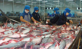 Viet Nam, Norway confer on aquaculture