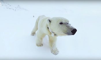 World’s eyes on Norway as historic climate trial begins