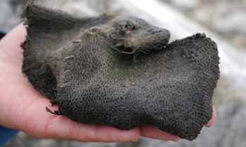 Researchers discover 6000-year-old artifacts from melting glaciers in Norway