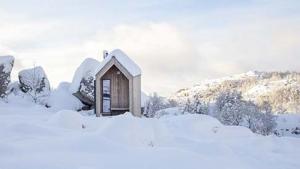 COME IN: THE SELF-MAINTAINING WOOD CABIN