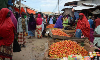 Norfund’s $10m to support Somali small businesses