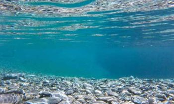 Europe’s first underwater restaurant opens in Norway