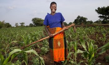 African Union in deal with Norway and Germany to train Malawi women farmers