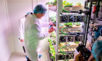 Tungsram opens one-of-a-kind vertical farm in Budapest for research purposes