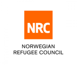 NRC urges Afghan authorities, world to engage effectively