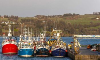 Ireland must be prepared to abandon talks on EU-Norway fishing deal, industry leaders say