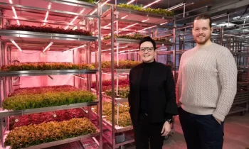 Coop Norway Invests In Automated Vertical Farming Technology